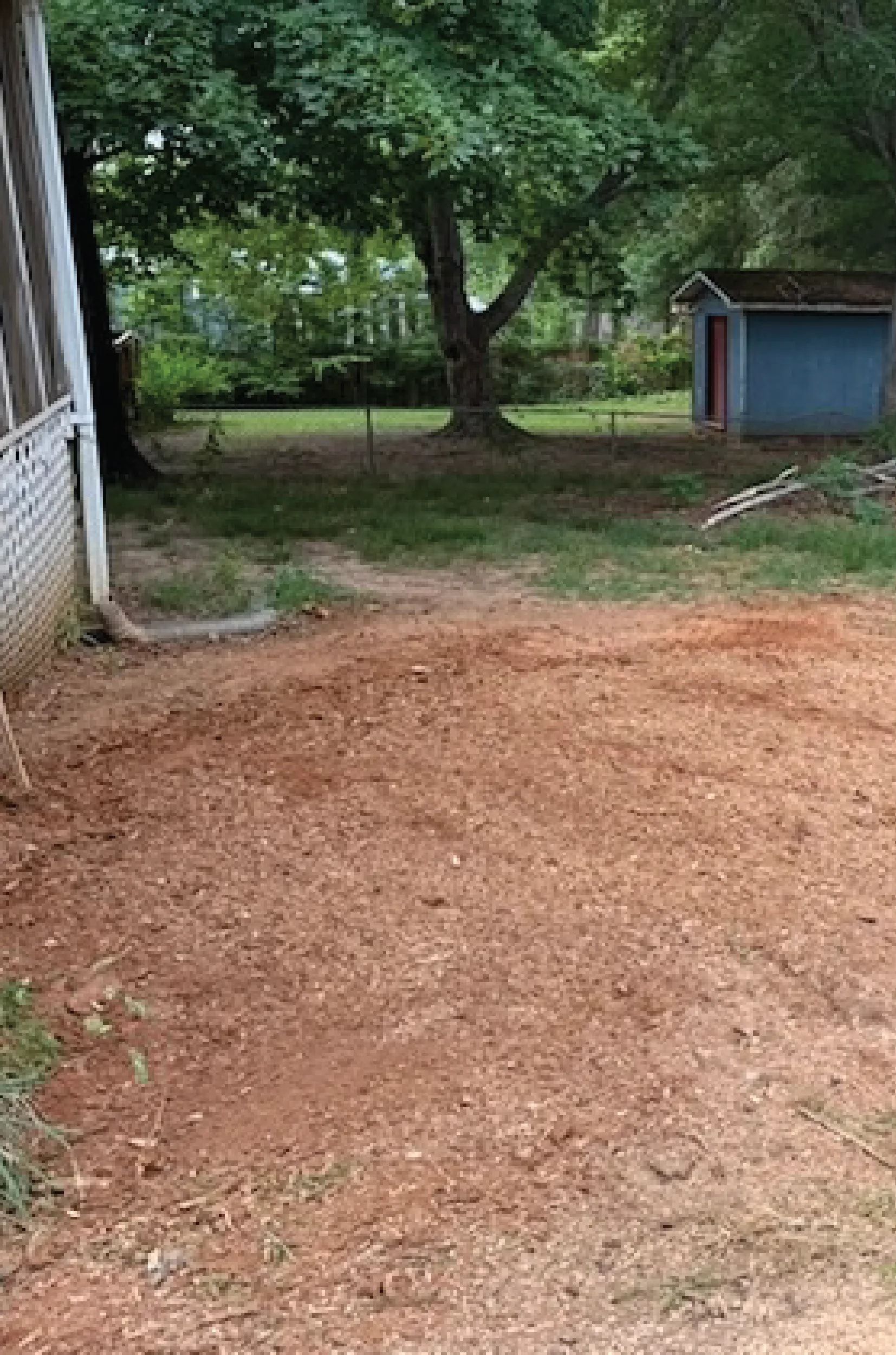 The same area after grinding: the oak stump and roots are gone and the ground is level red clay and chips